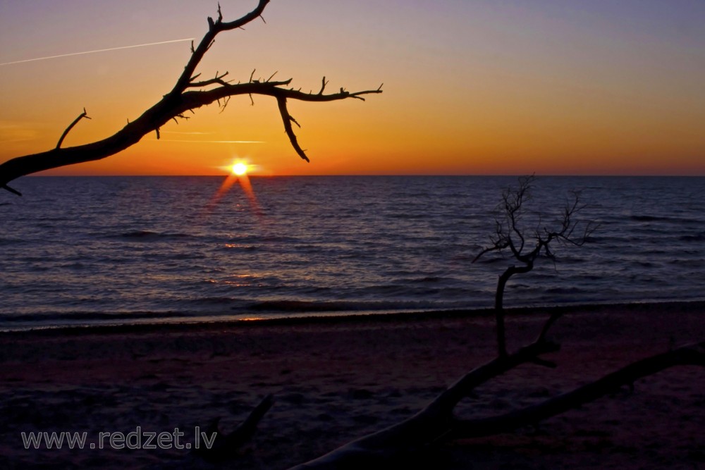 Saulriets Jūrkalnē