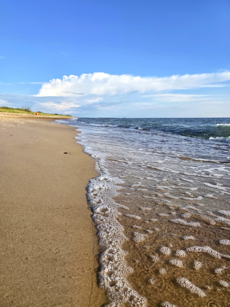 Papes pludmale, jūras putas