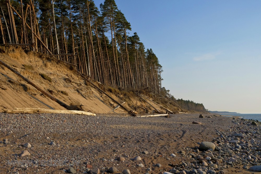 Stāvkrasts netalu no Ventspils