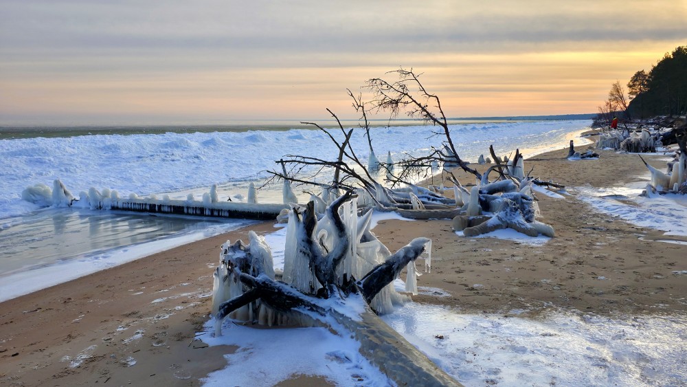 Cape Kolka coastline at sunset with frozen trees and a snow-covered beach