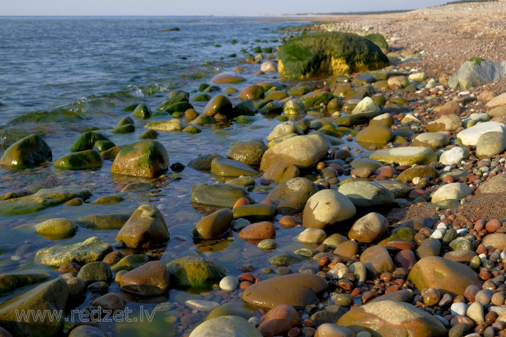 Ar aļģēm apauguši akmeņi Kurzemes jūrmalā