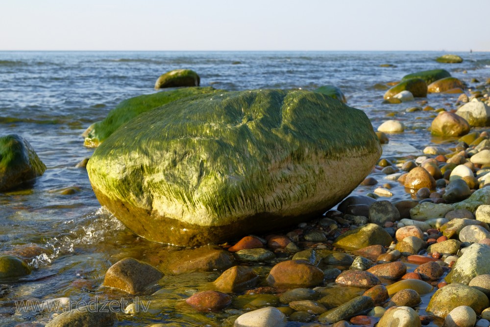 Ar aļģēm apauguši akmeņi