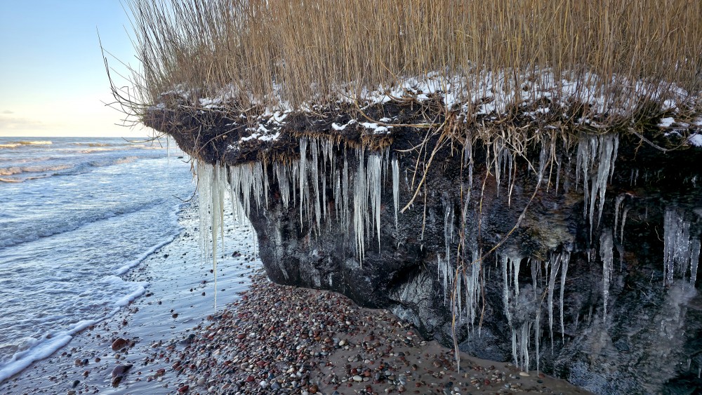 Ice-covered coastal cliff at Staldzene seaside with icicles and sea waves