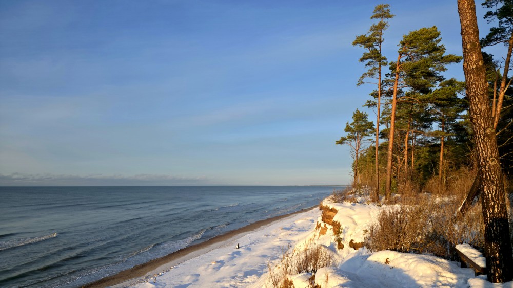 Ziemas piekraste ar Jūrkalnes stāvkrastu, priedēm un mierīgu jūru
