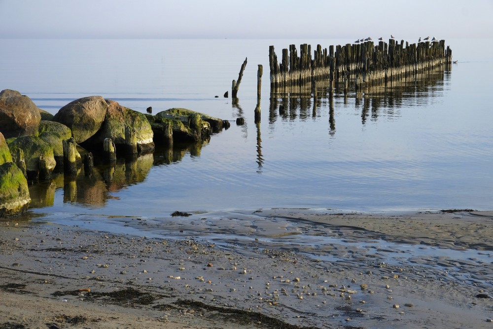 The Old Lapmežciems Pier