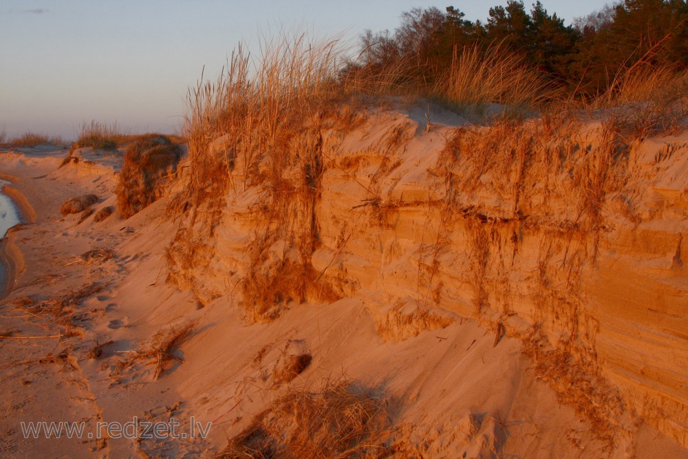 Kāpas pie Irbes ietekas