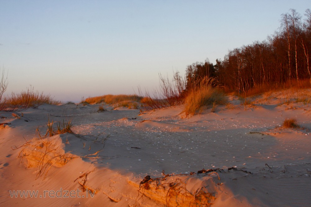 Kāpas pie Irbes ietekas