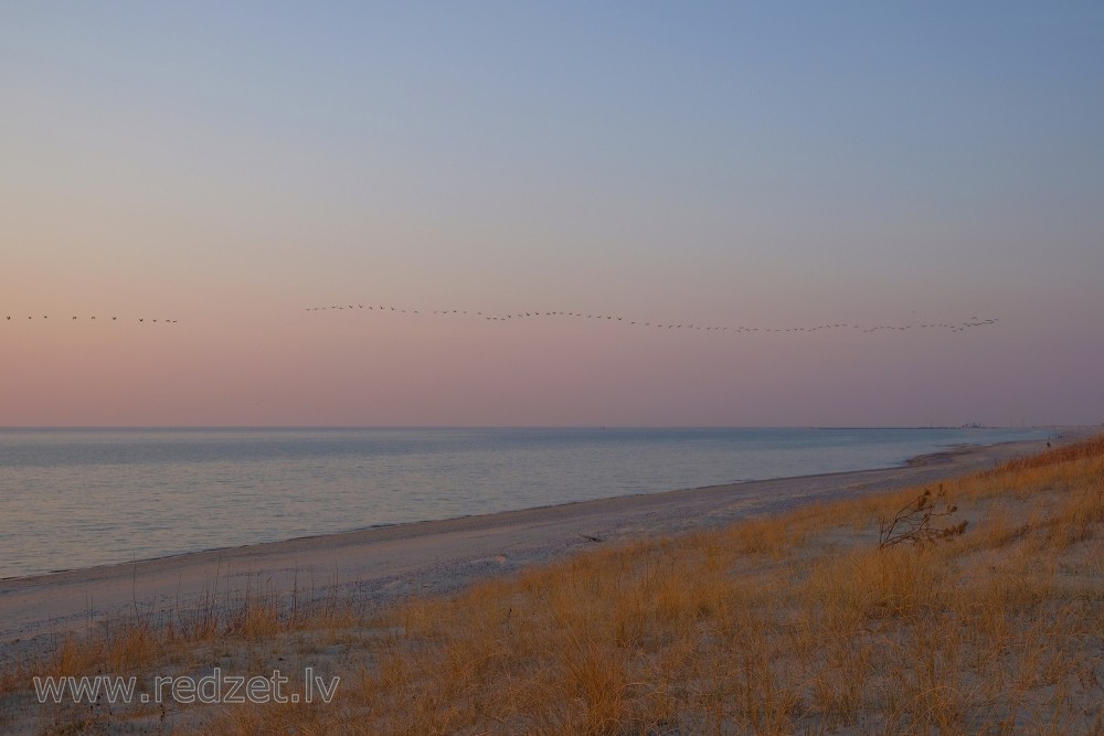 Jūras ainava vakara gaismā