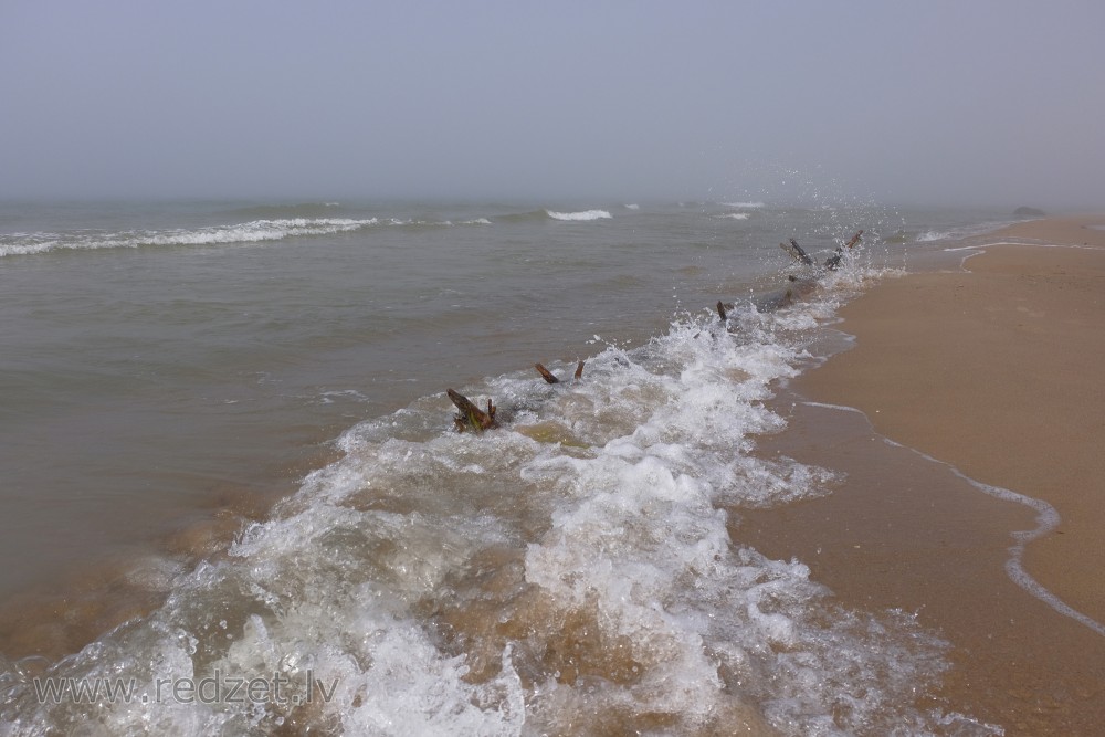 Mist and Water Wave