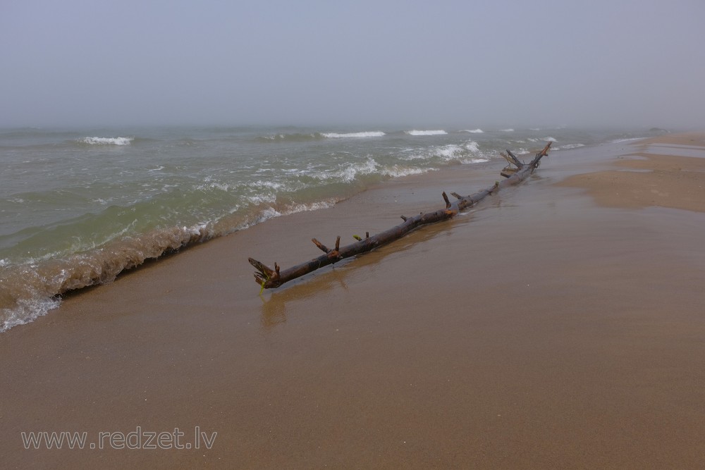 Baltic Sea and Mist