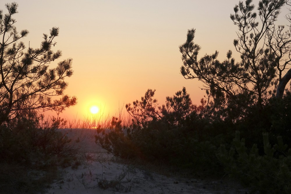 Saulrieta ainava skatoties no kāpām