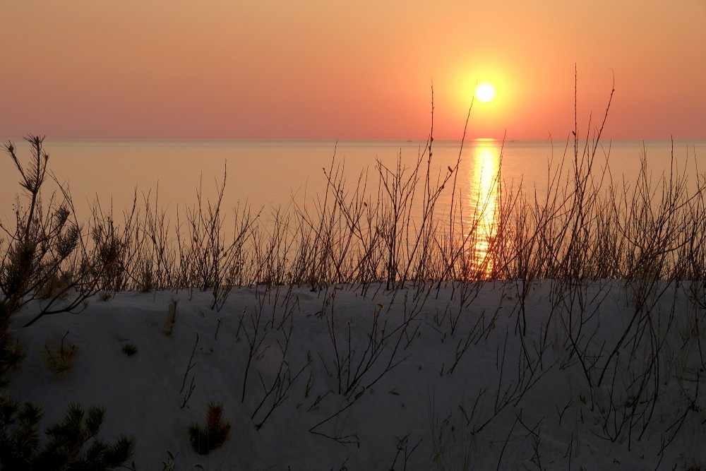 Saulriets jūrā skatoties no kāpām