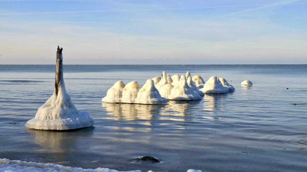 Row of ice-covered coastal poles at Staldzene beach on a calm winter day