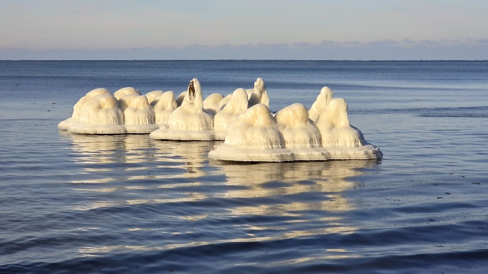Iced-over wooden pilings in winter at Staldzene beach