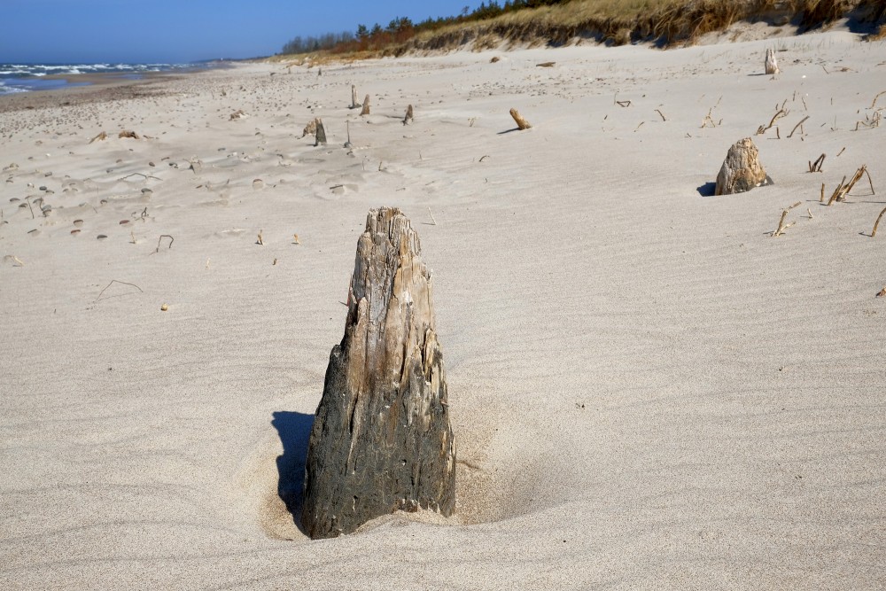 Seaside Near Pape