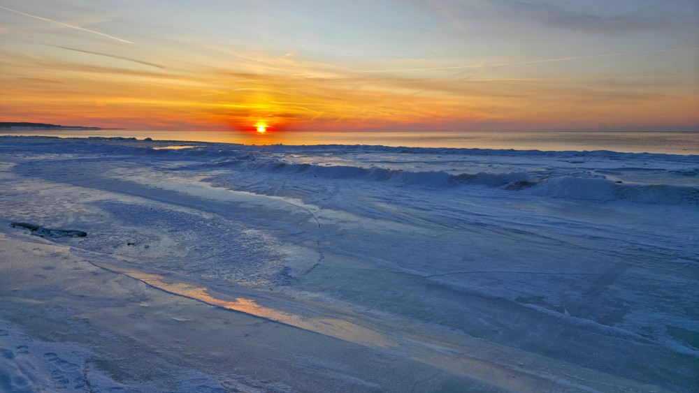 Saulrieta atspulgi ledū Jūrkalnes pludmalē ziemā