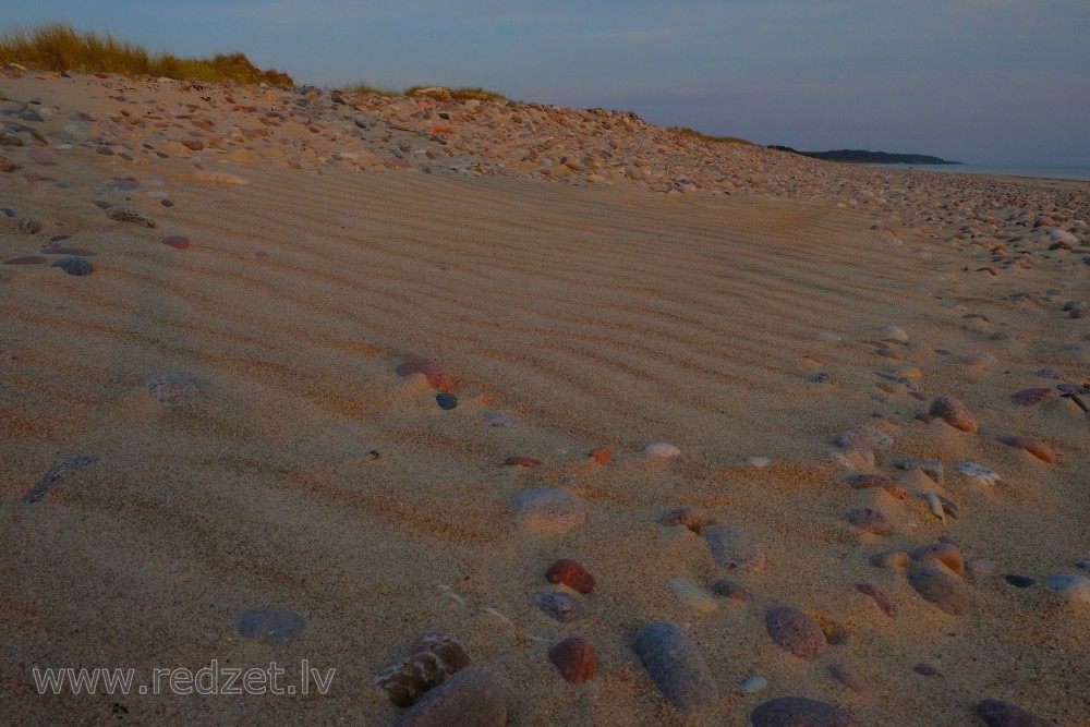 Stony Beach in the Evening Light