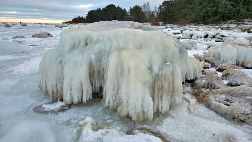 Mērsraga jūrmalā apledojis akmens ar ledus lāstekām