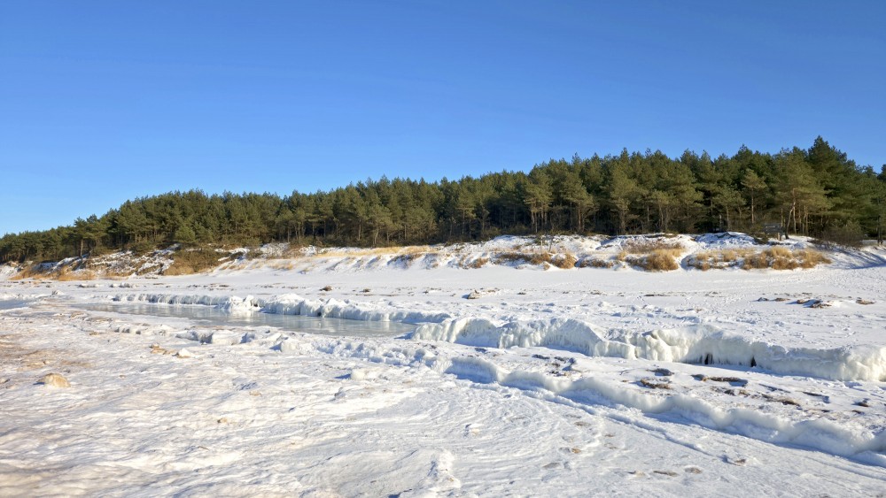 Snowy Ziemupe beach with ice ridges and pine forest in the background