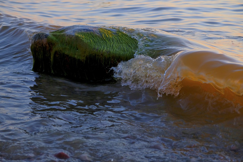 Viļņi apskalo akmeni saulrietā, jūrā