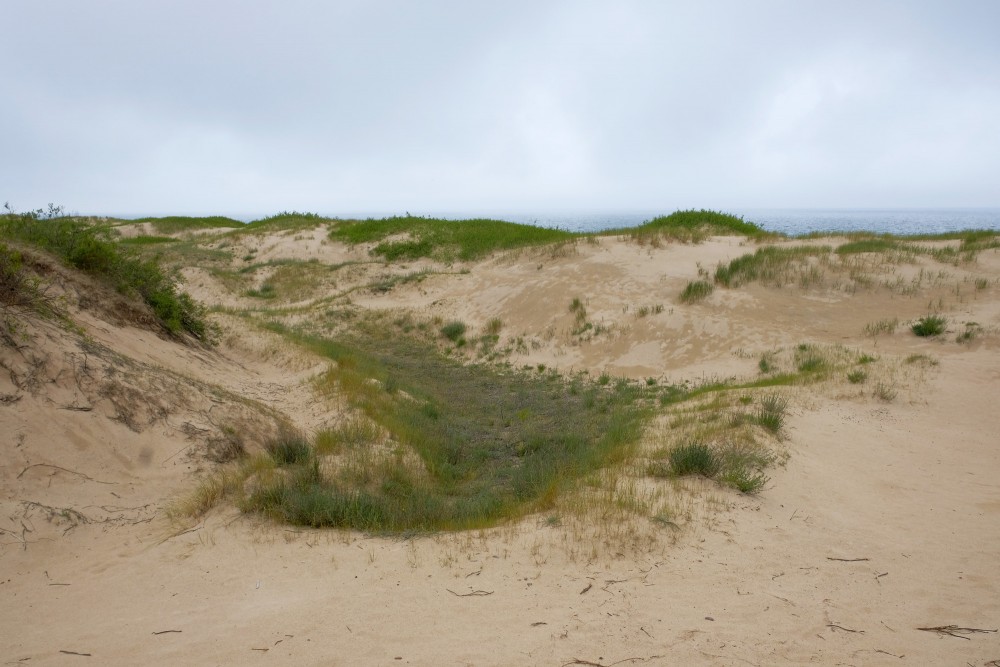 Miglaina diena pie jūras