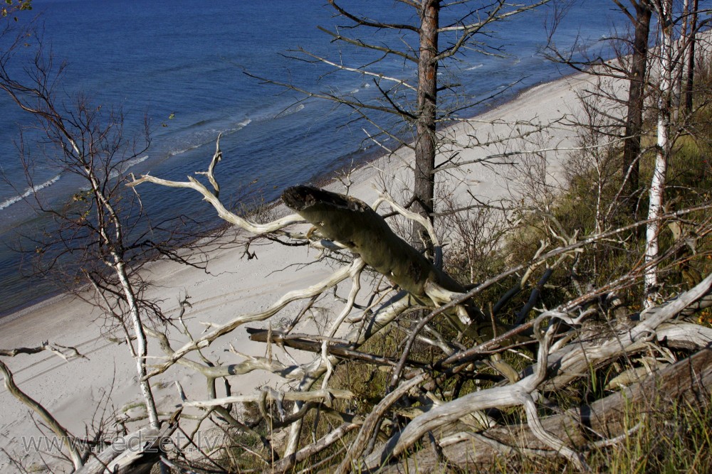Jūrmala starp Staldzeni un Liepeni