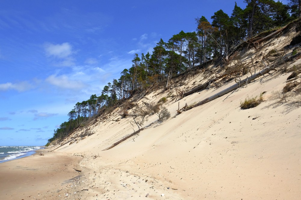 Stāvkrasts posmā starp Staldzeni un Liepeni