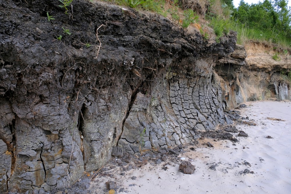 Staldzenes stāvkrasta atsegumi, sapropelis