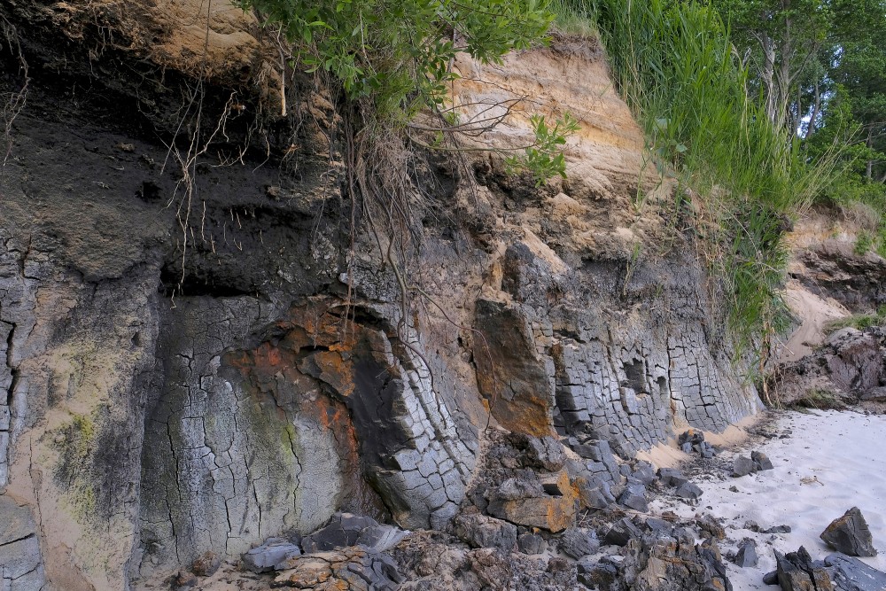Staldzenes stāvkrasta atsegumi, sapropelis