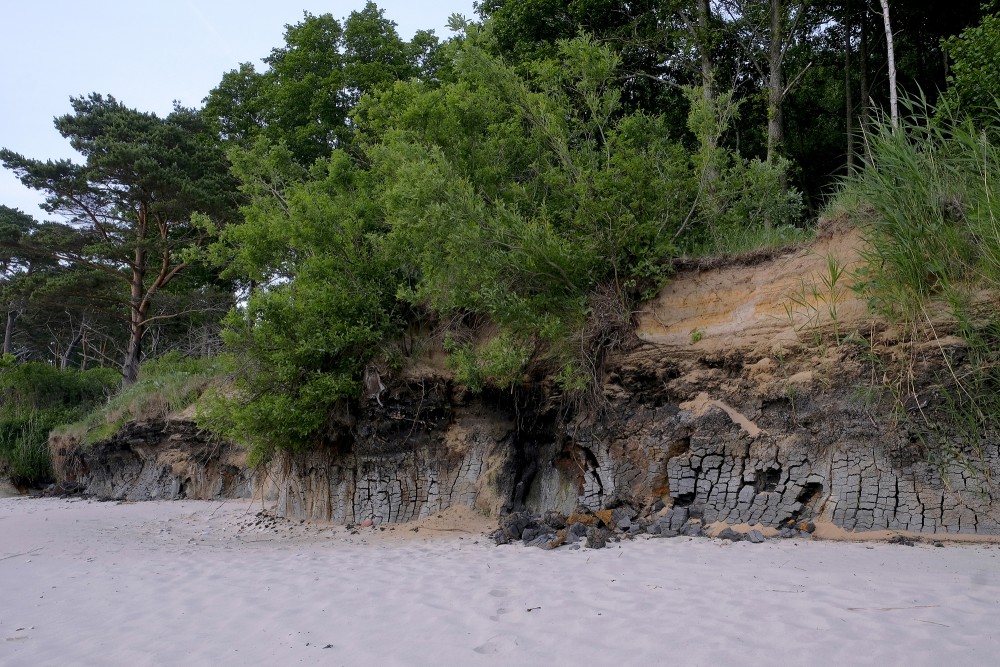 Staldzenes stāvkrasta atsegumi, sapropelis