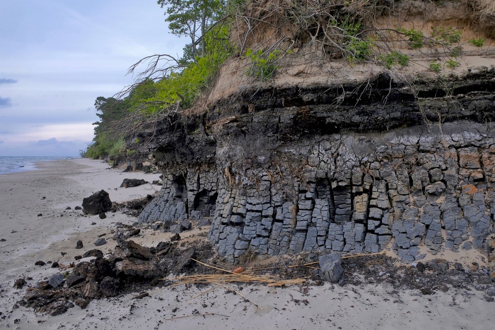 Staldzenes stāvkrasta atsegumi, sapropelis