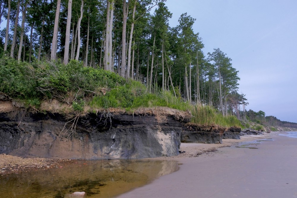 Staldzenes jūrmalas ainava