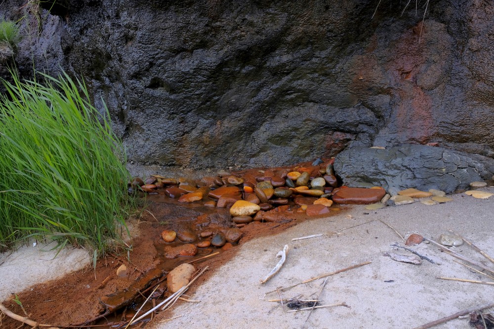 Staldzenes stāvkrasta atsegumi