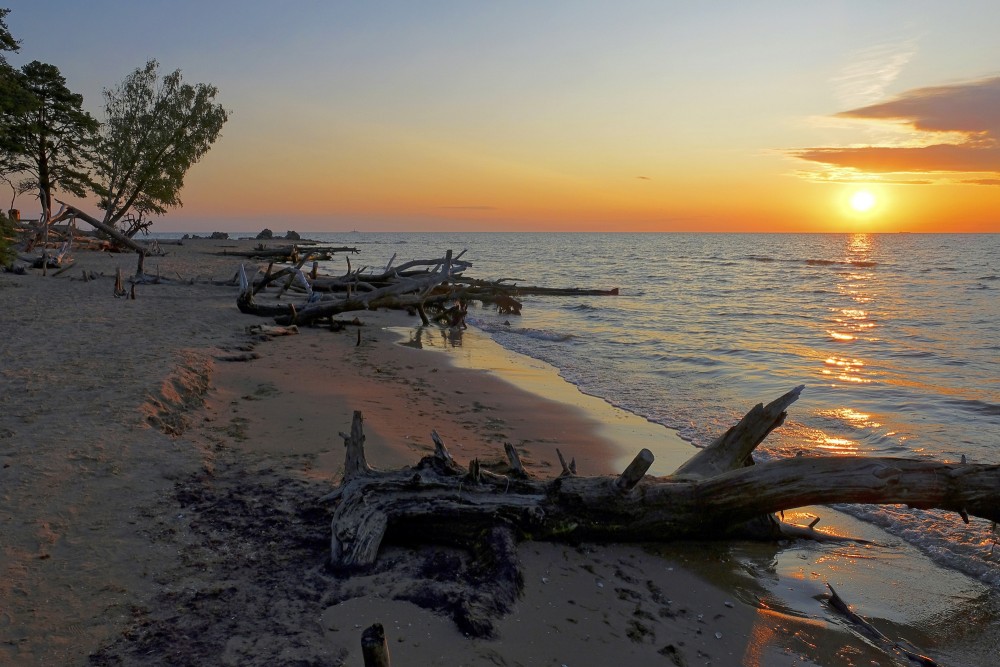 Saullēkts Kolkasragā un kritušie koki