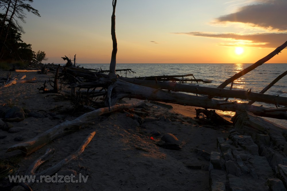 Kolkasrags saullēktā, vētras nogāzti koki