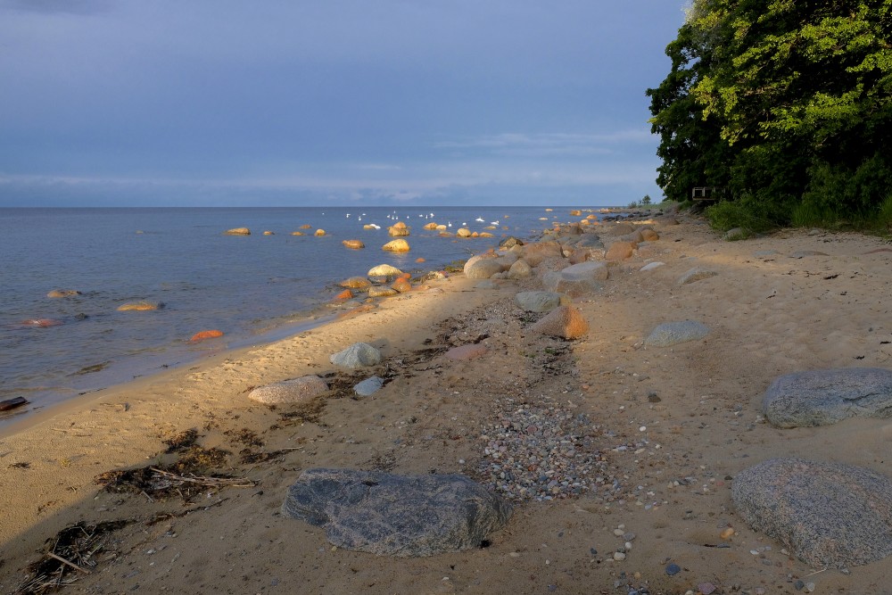 The rocky coastline of Kaltene