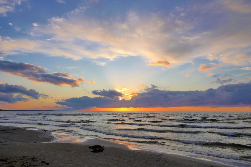 Saulriets Mērsraga jūrmalā