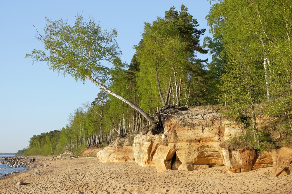 Veczemju Cliffs