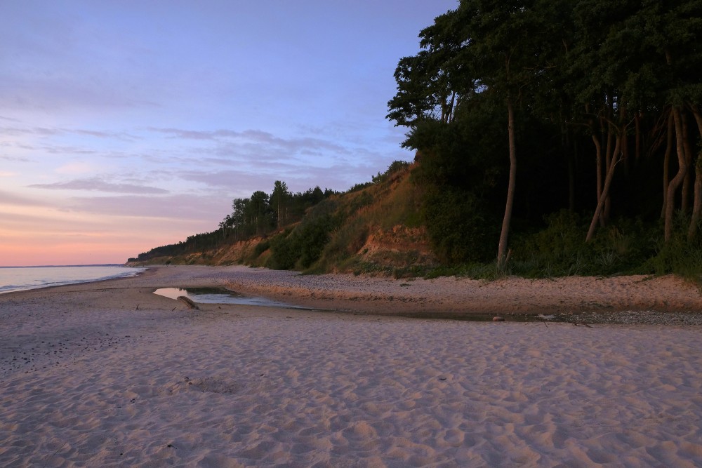 Stream Flowing into the Sea
