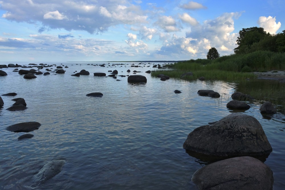 The Rocky Seashore Of Kaltene