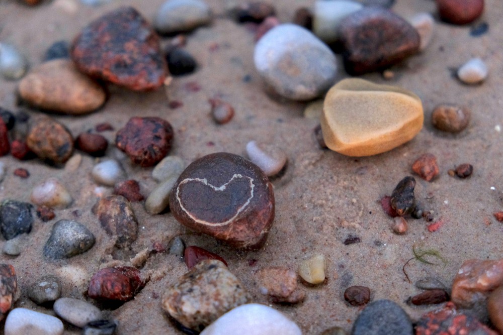 Heart-shaped Pebbles on the Seashore