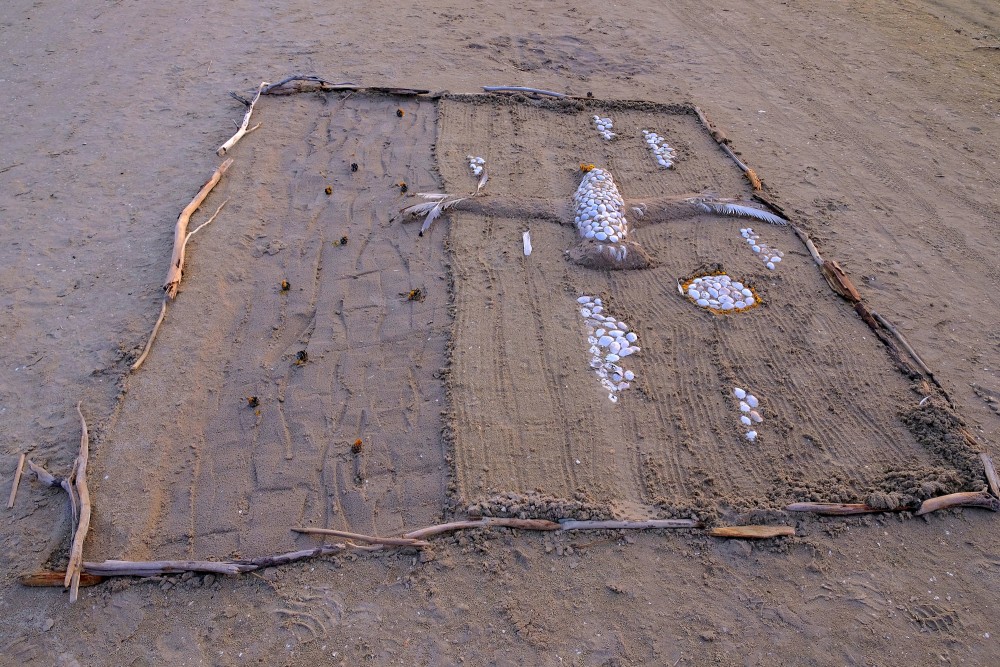 Improvisation of a Seagull Image on the Beach