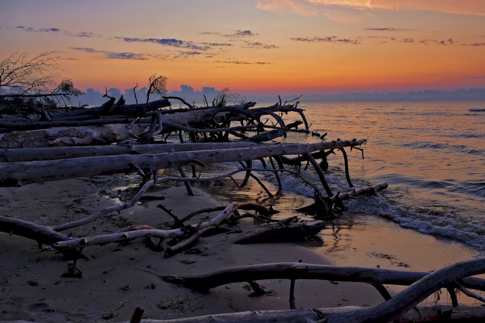 The Coast of Cape Kolka Before Sunrise