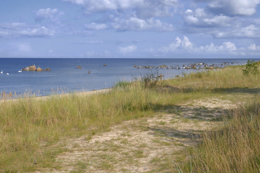 The Sea near Kaltene, Kaltene Birds' Trail