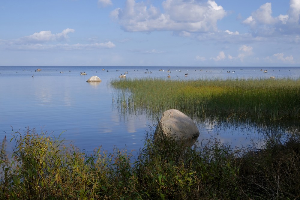 Seascape near Kaltene