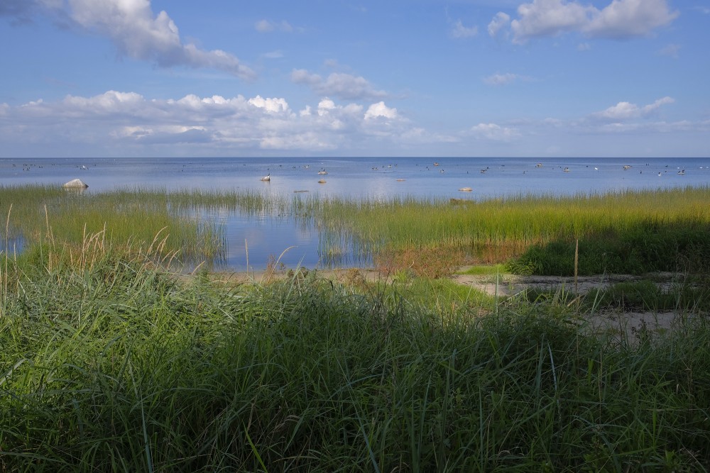 Seascape near Kaltene, Kaltene Birds' Trail