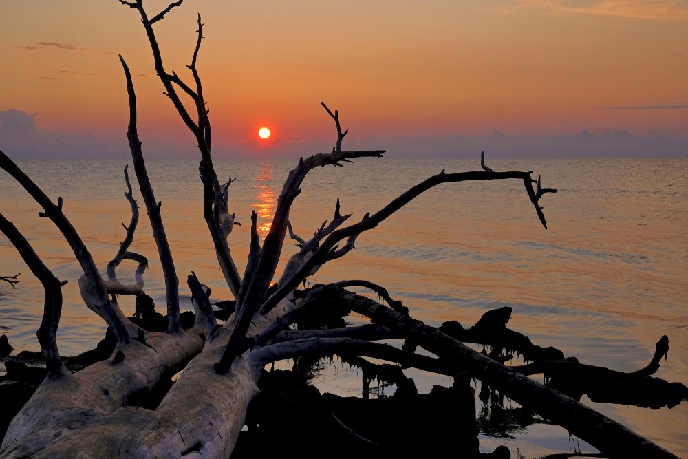 Saullēkts Kolkasragā Saullēkts Kolkasragā