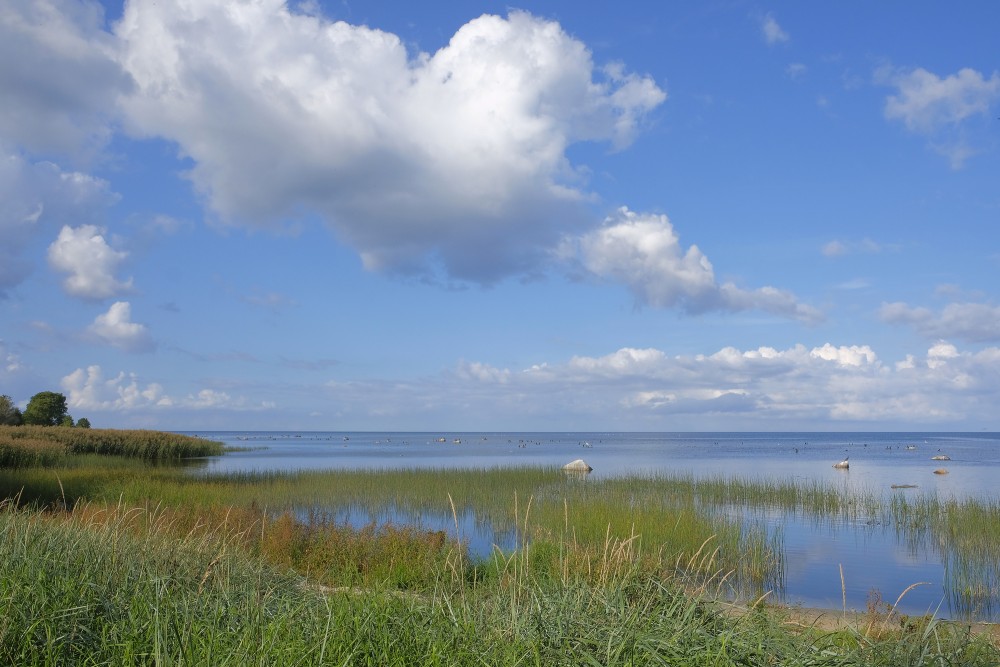 Seascape near Kaltene, Kaltene Birds' Trail