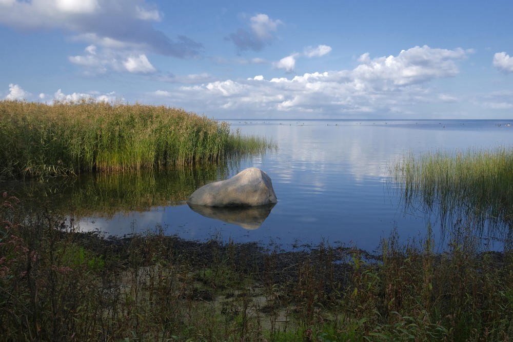 Seascape near Kaltene, Kaltene Birds' Trail