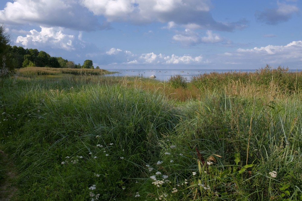 Jūras ainava pie Kaltenes, Kaltenes putnu taka